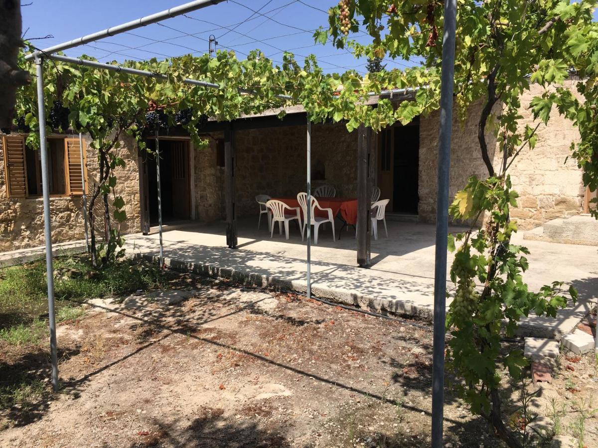 Friendly villagehous Paphos Buitenkant foto